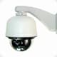 IP Cameras